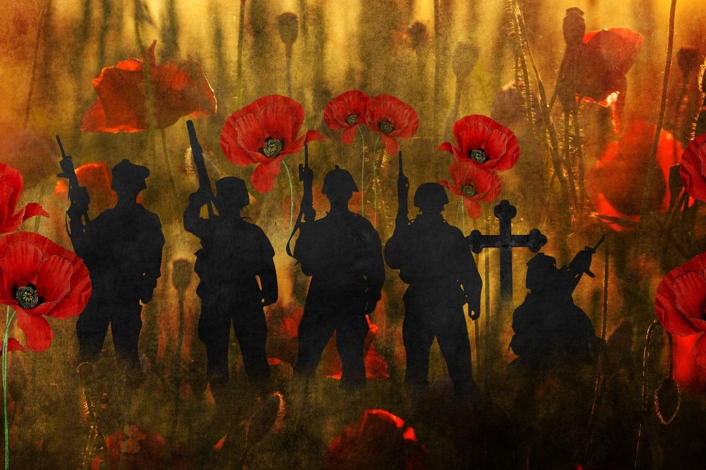 Soldiers in Poppies